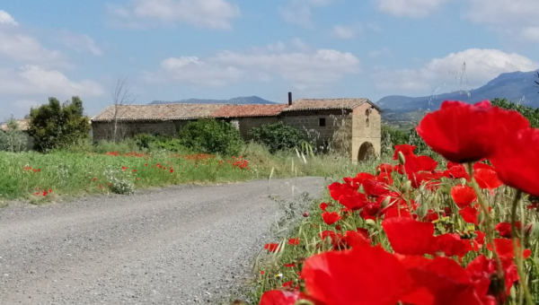 Ermita de Santa Lucía (Briones)